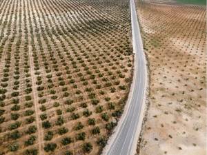 causing erosion control matting