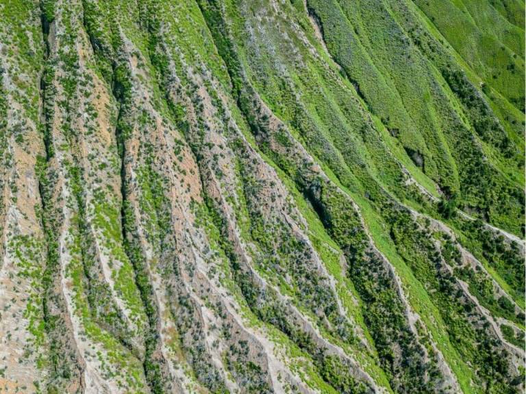 How To Install Erosion Control Blanket Asia Warehouse